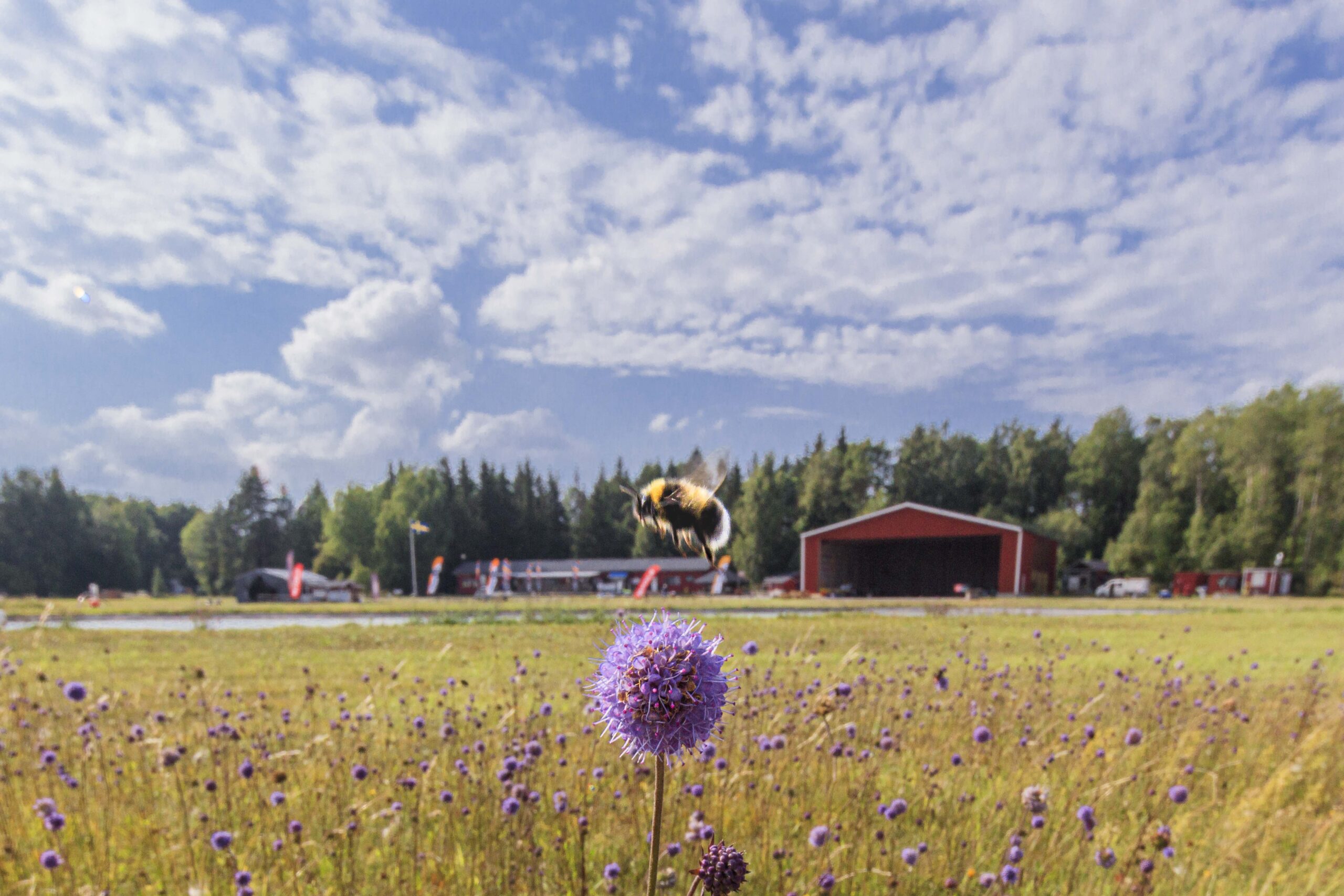 Du visar för närvarande Välkomna till en kväll kring biologisk mångfald